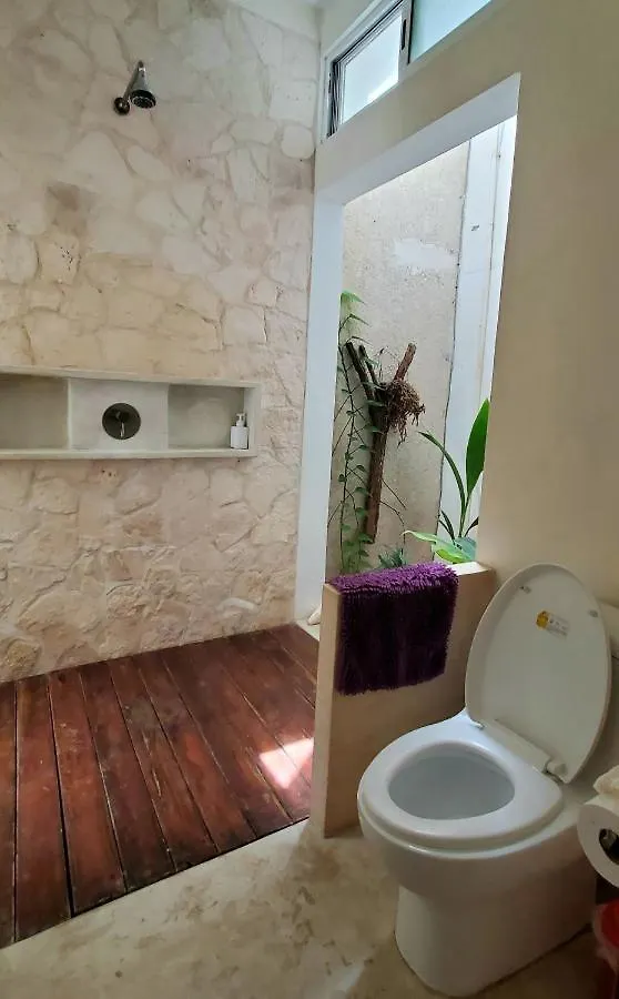 Guest house Layla Guesthouse Puerto Morelos Mexico
