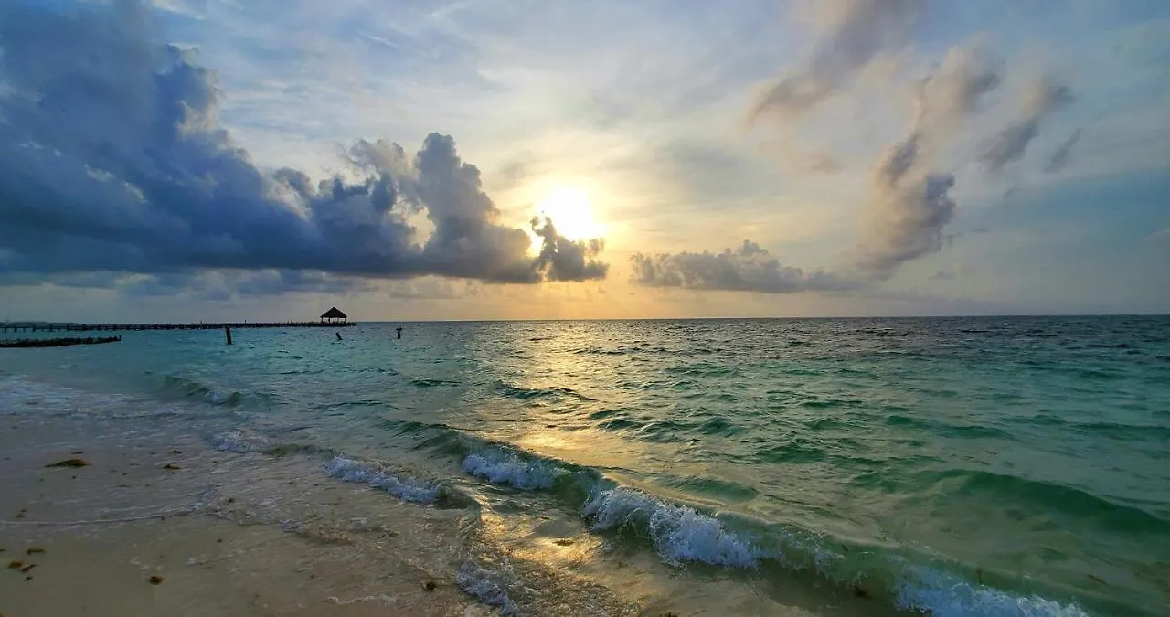Guest house Layla Guesthouse Puerto Morelos Mexico