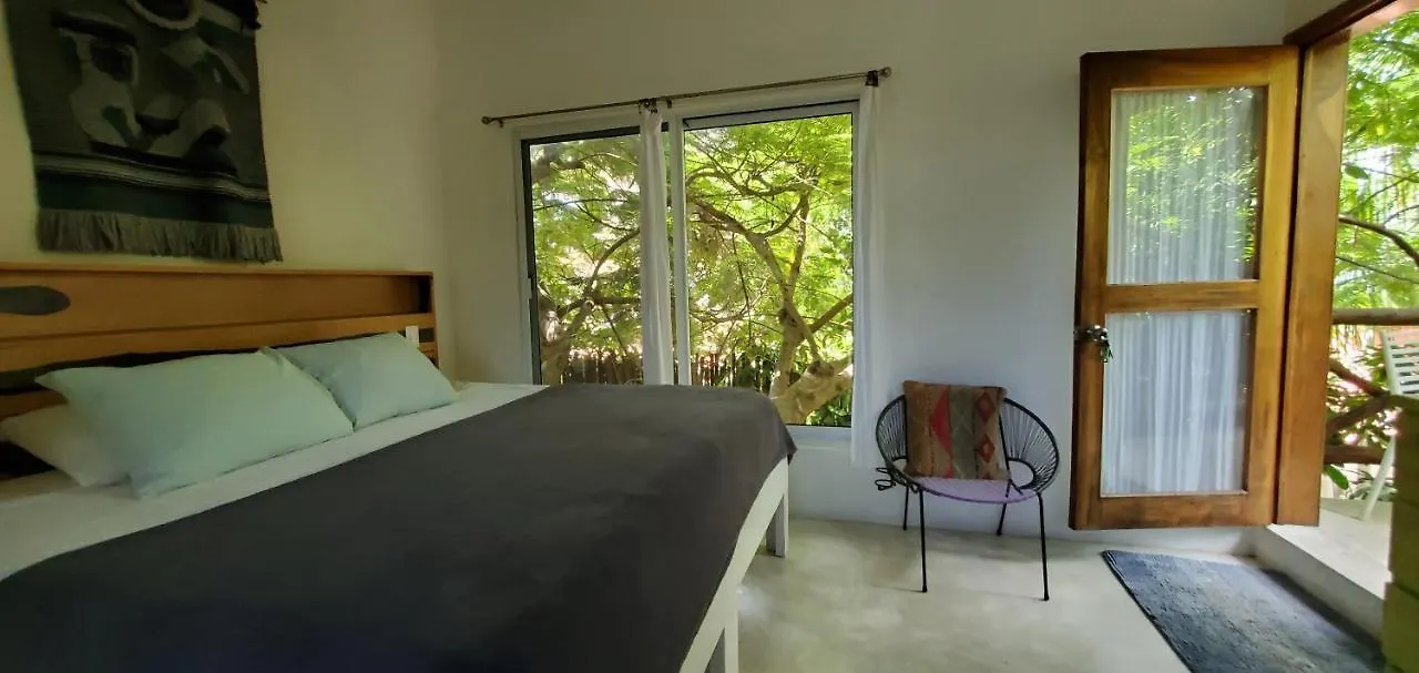 Guest house Layla Guesthouse Puerto Morelos Mexico