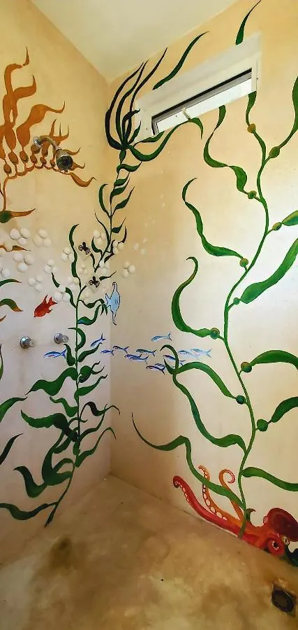 Guest house Layla Guesthouse Puerto Morelos Mexico
