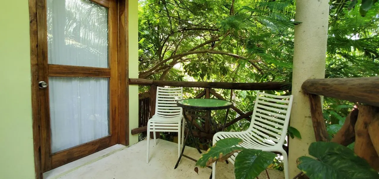 Layla Guesthouse Puerto Morelos Guest house